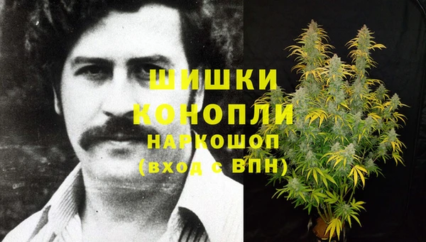 сатива Осинники