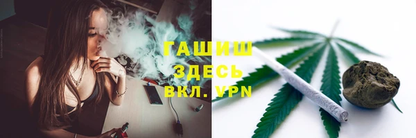 сатива Осинники