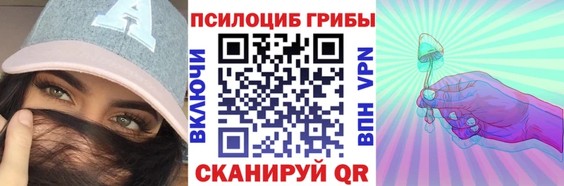 купить закладку  блэк спрут маркетплейс  Псилоцибиновые грибы Magic Shrooms  Шилка 