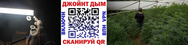 МАРИХУАНА SATIVA & INDICA  наркотики  Шилка 